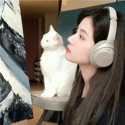 秘密访客