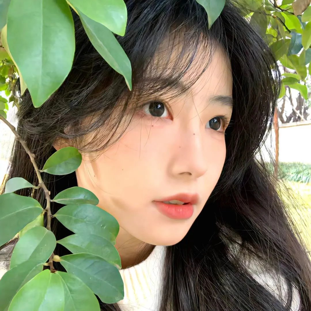 代号叫麻雀